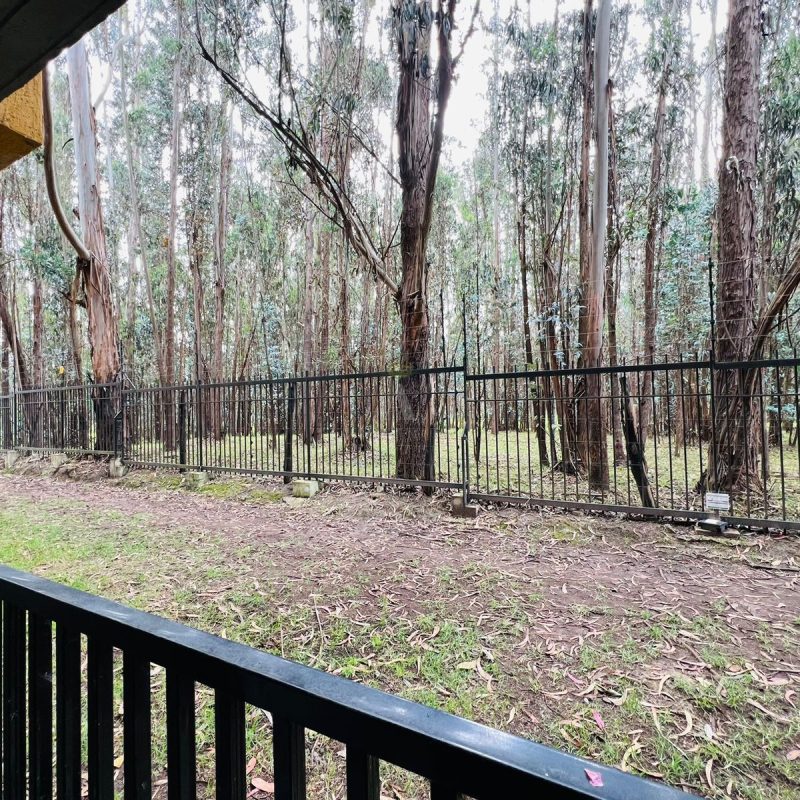 Conjunto Aracari Tocancipa Apto 103 t4 (12)