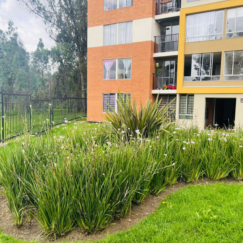 Conjunto Aracari Tocancipa Apto 103 t4 (27)