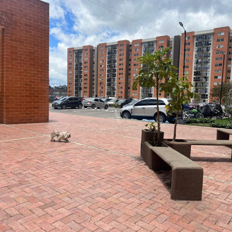 WhatsApp Image 2024-04-06 at 1.24.08 PM