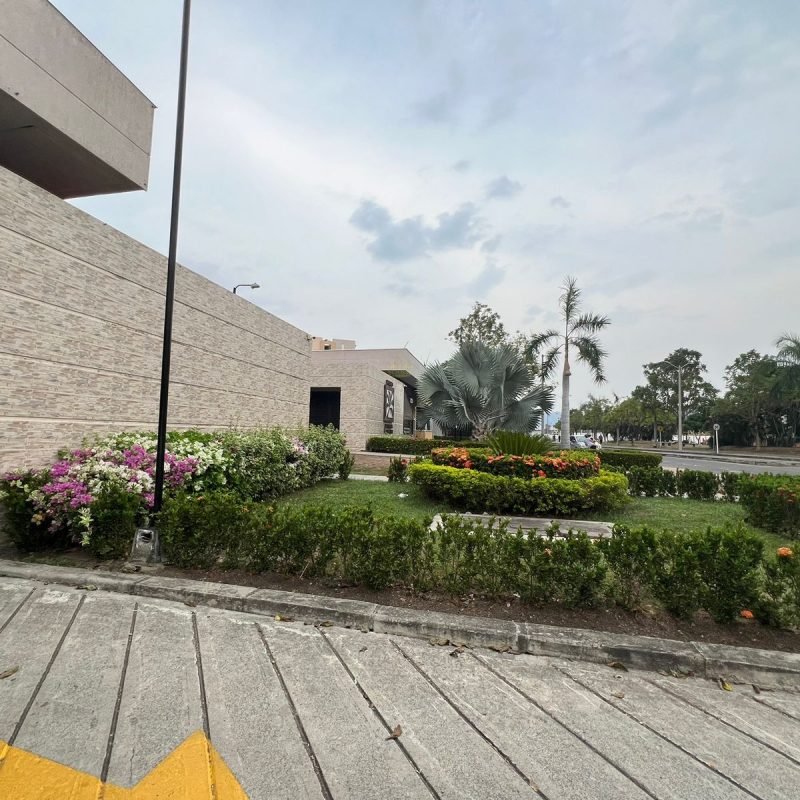 WhatsApp Image 2024-04-09 at 11.02.56 AM (1)