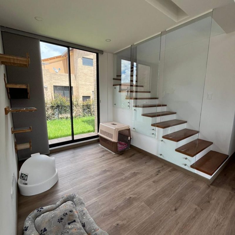 WhatsApp Image 2025-05-19 at 12.34.28 (2)