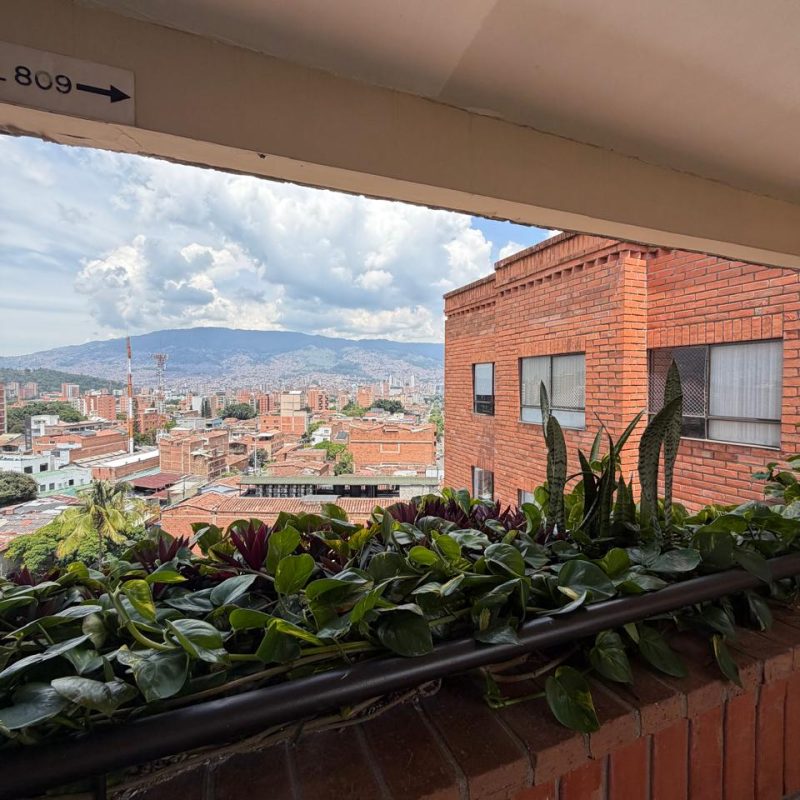 WhatsApp Image 2026-03-29 at 08.22.08 (3)