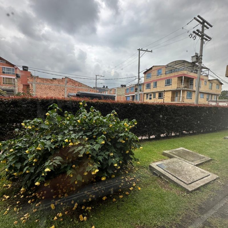 WhatsApp Image 2026-04-16 at 21.53.25 (2)